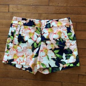 J Crew shorts